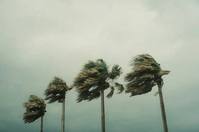 New system in the tropics likely to become major hurricane