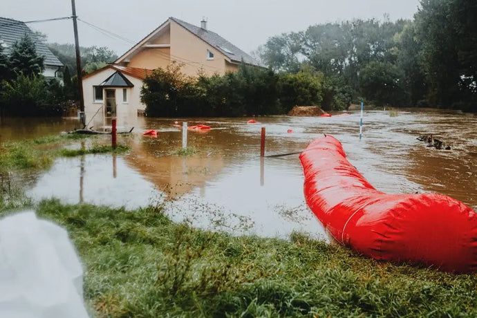 Guarding Your Home Against Texas Storms: What You Need to Know