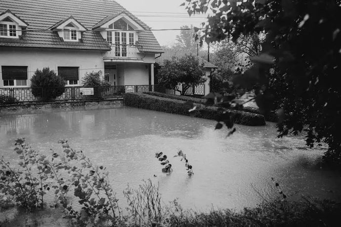 Why Hurricane Proofing Is Essential for Homeowners